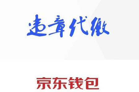 京东钱包app可以代缴车辆违规罚款吗?代缴车辆违规罚款步骤一览