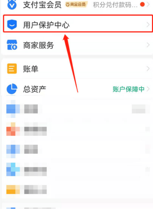 《支付宝》怎么查看个人信息档案