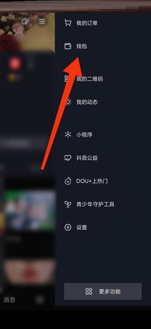 《抖音极速版》怎么查看账单