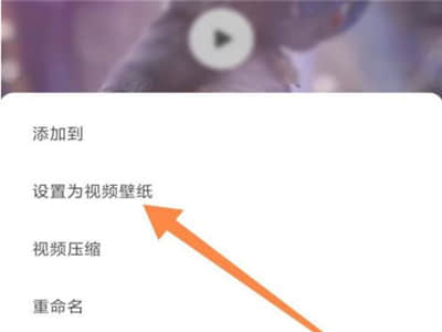 《小红书》怎么设置视频壁纸