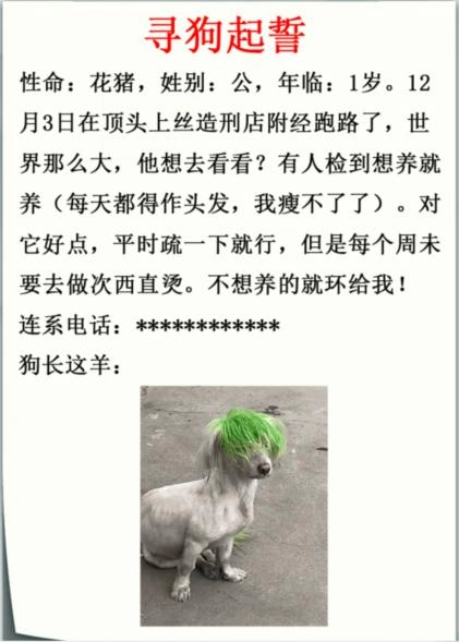 《疯狂梗传》寻狗启示录关卡攻略