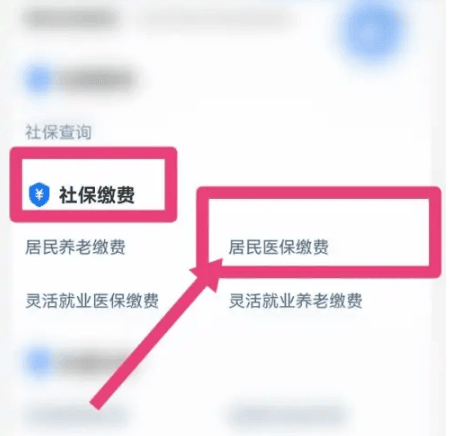 《支付宝》医保费用如何缴费