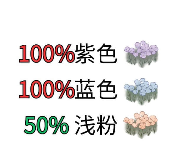 《桃源深处有人家》花菱草配色一览