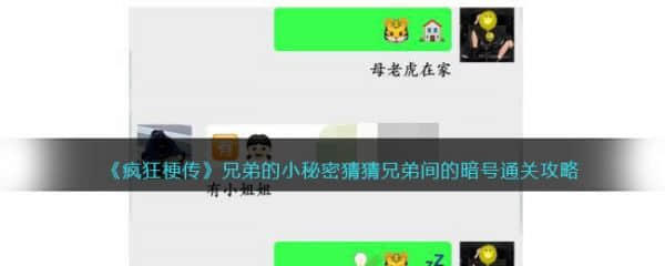 《疯狂梗传》兄弟的小秘密过关攻略分享