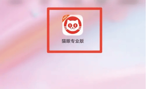 猫眼专业版看收视率方法介绍